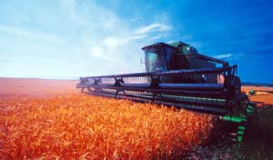 harvest harvest