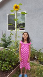 Akemi and sunflower