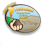 P-poster_thumb