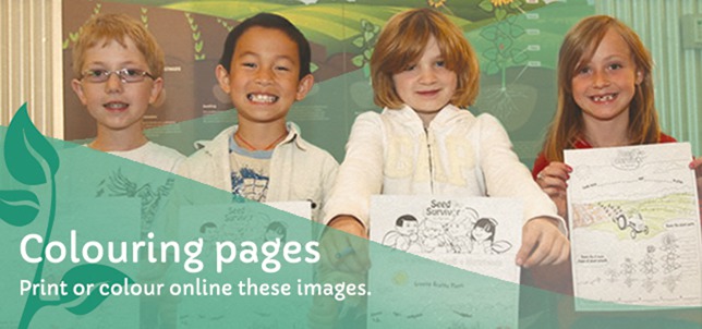 SS_Banner_ColourPages