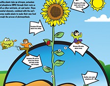 teachers-guide-video