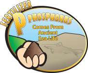 SS_Poster_P