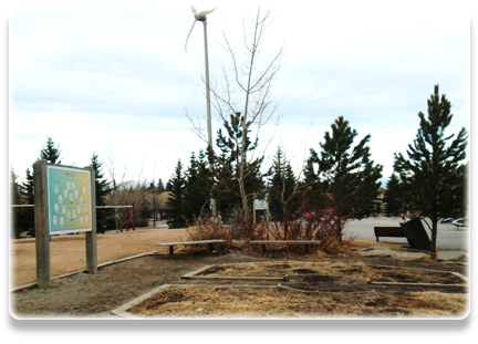 Olympic Heights - Completed Projects