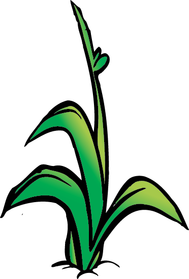 plant-1
