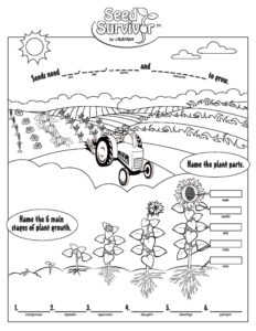 Farm 2
