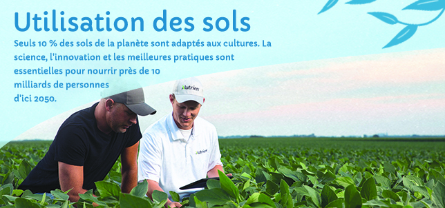 Utilisation des sols