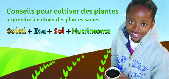 SS_Banner_GrowingAd