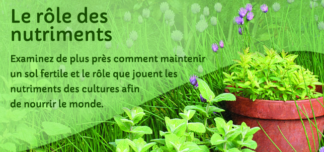 Le rôle des nutriments