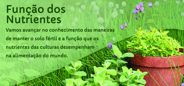 Função dos Nutrientes