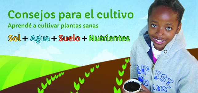 SS_Banner_GrowingAd